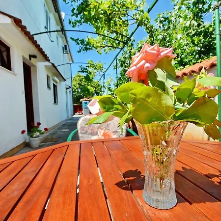 Ante Apartman Biograd na Moru